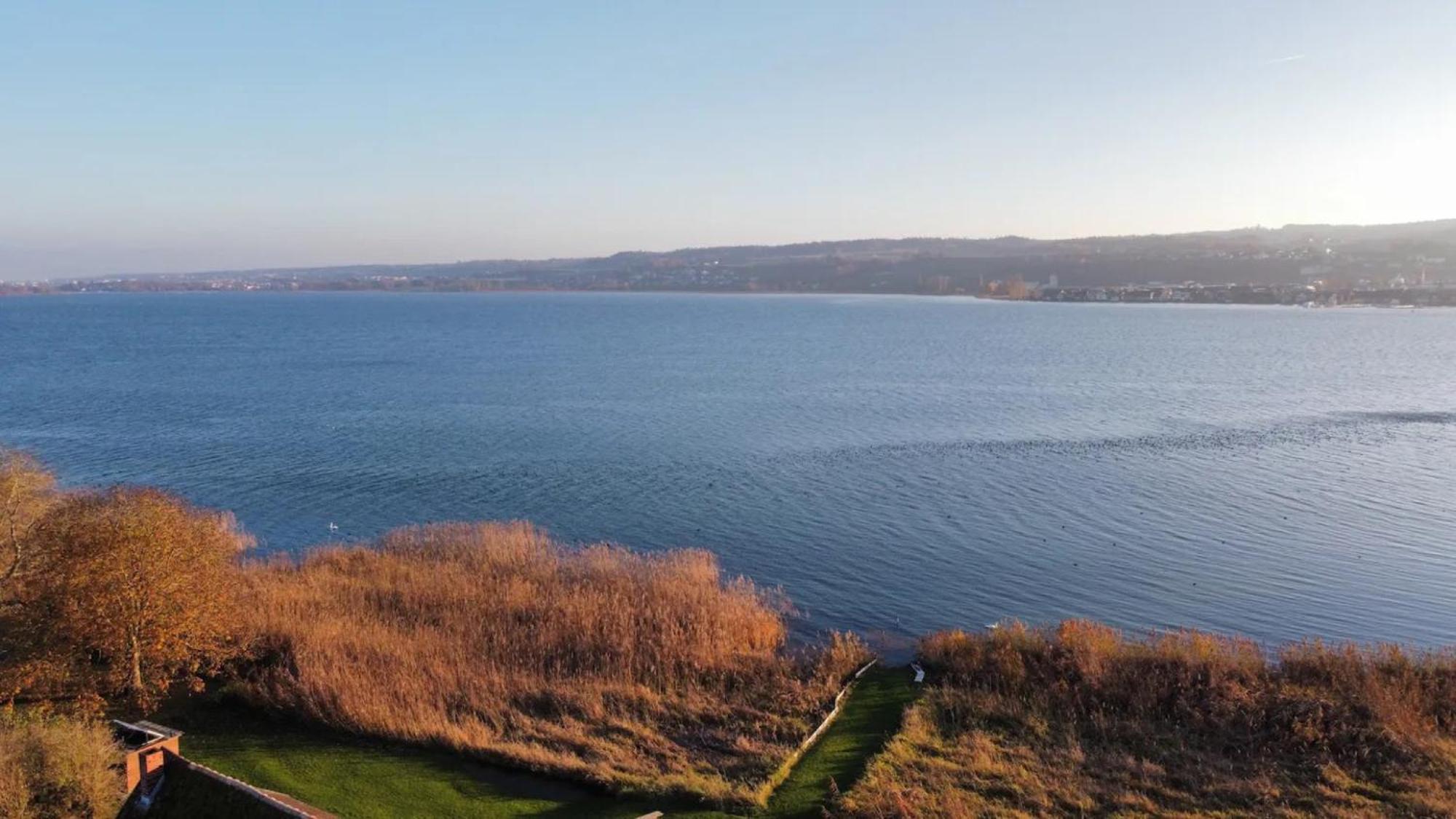 Seeluft Direkt Am Wasser Reichenau Dış mekan fotoğraf