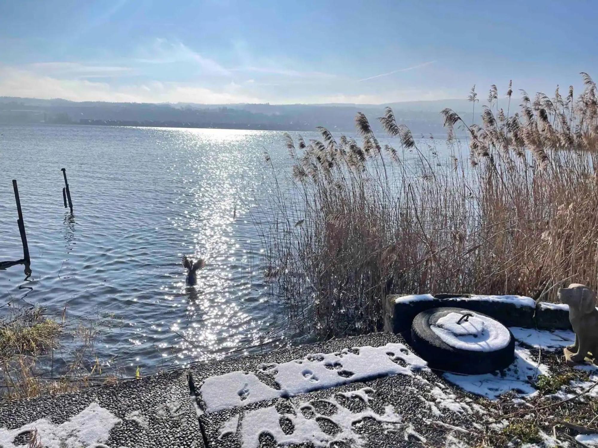 Seeluft Direkt Am Wasser Reichenau Dış mekan fotoğraf